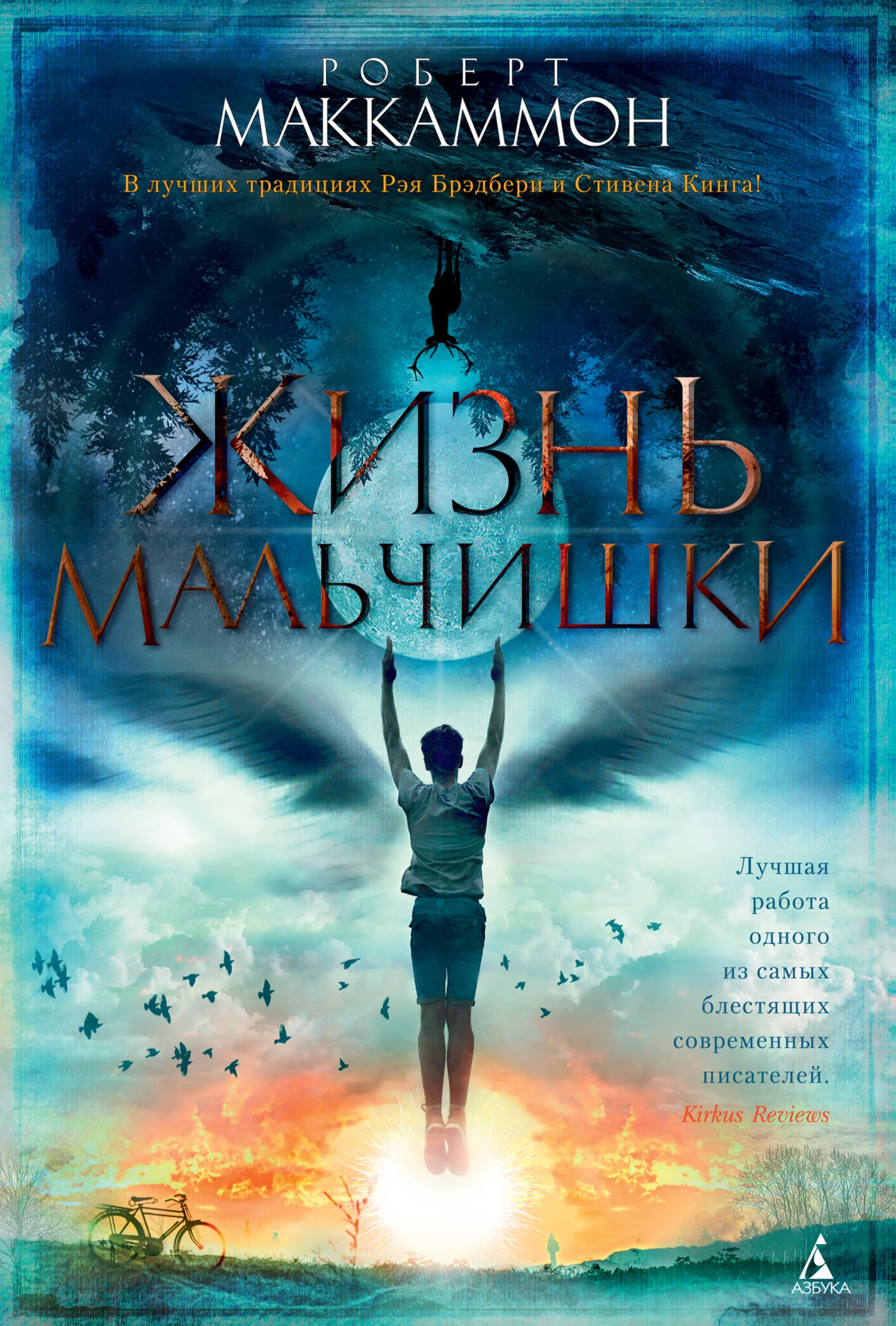 Обложка Жизнь мальчишки