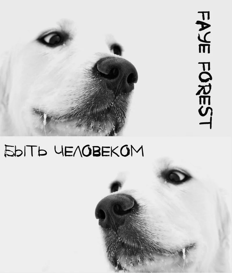 Обложка Быть Человеком