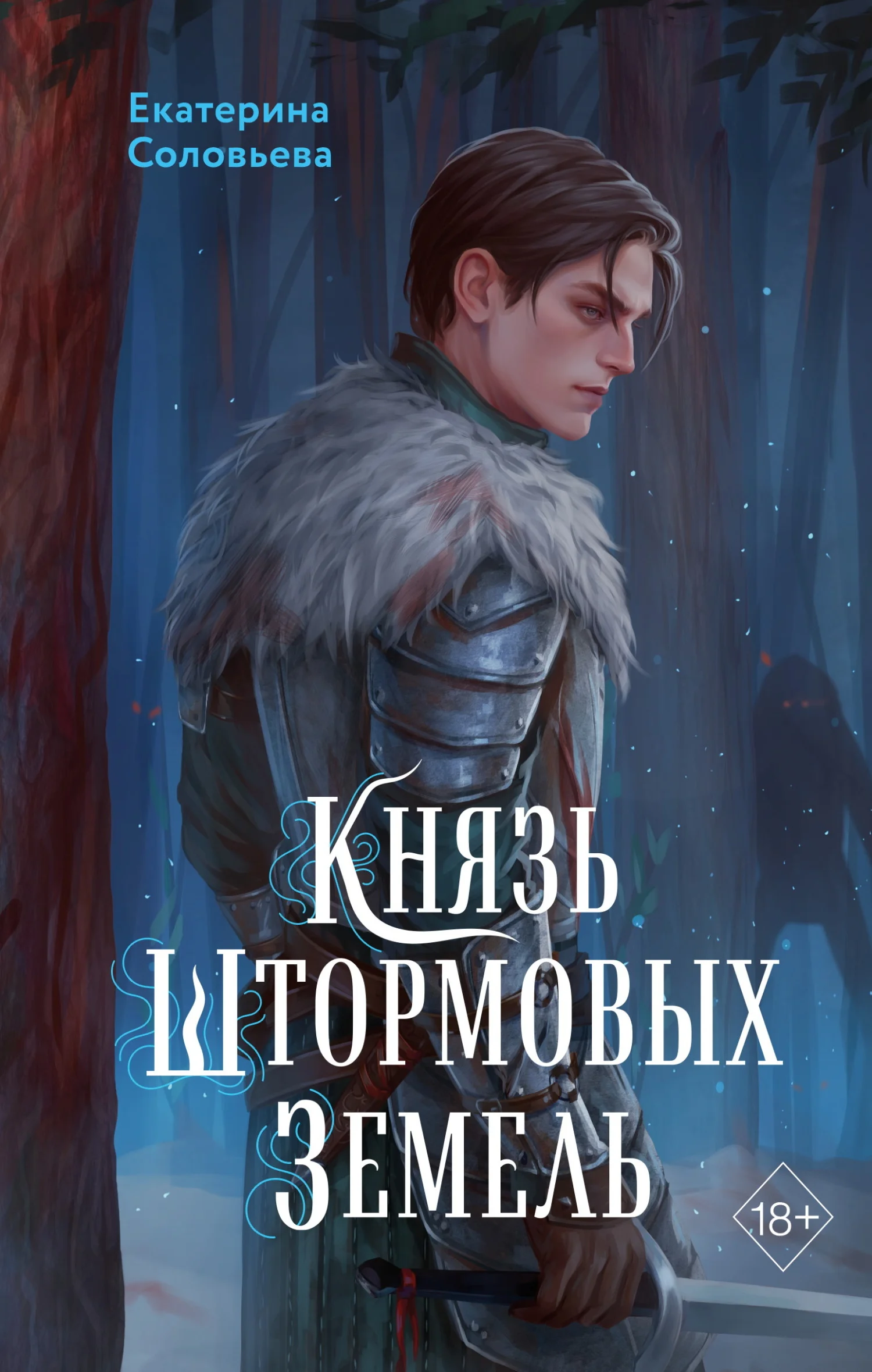 Обложка Князь Штормовых Земель