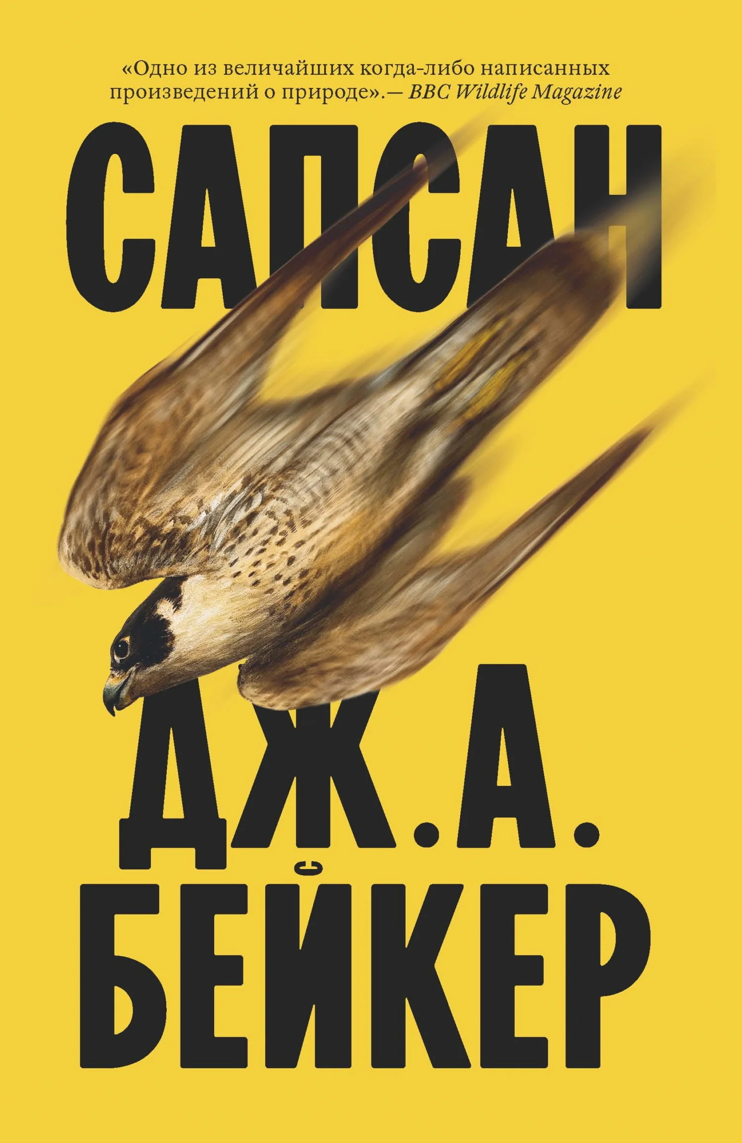 Обложка Сапсан