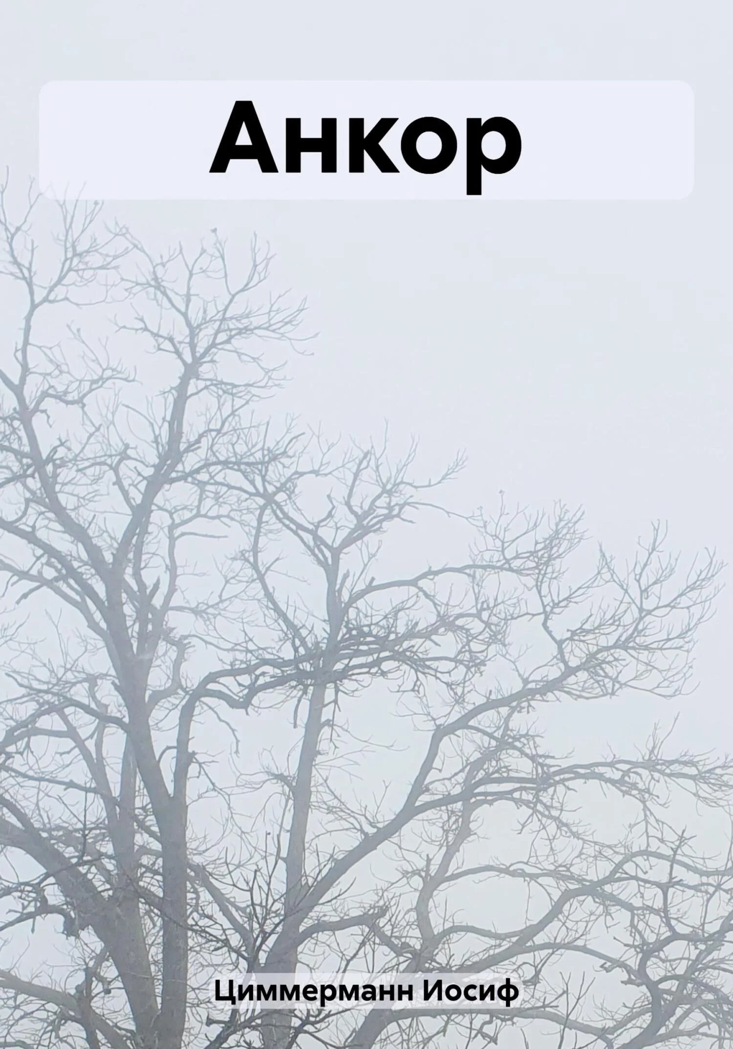 Обложка Анкор