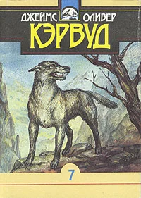 Обложка Быстрая Молния