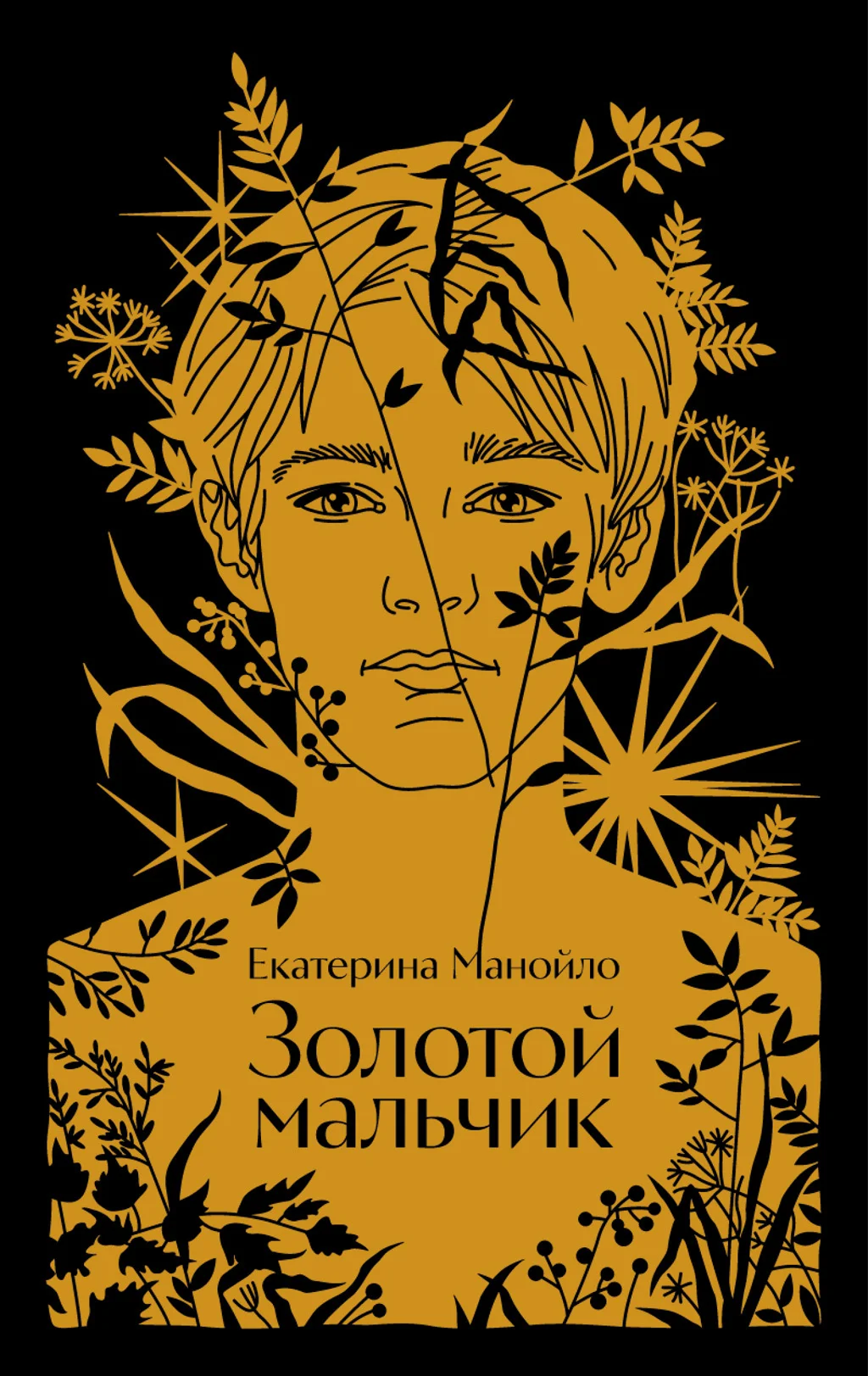 Обложка Золотой мальчик