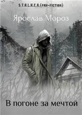 Обложка В погоне за мечтой