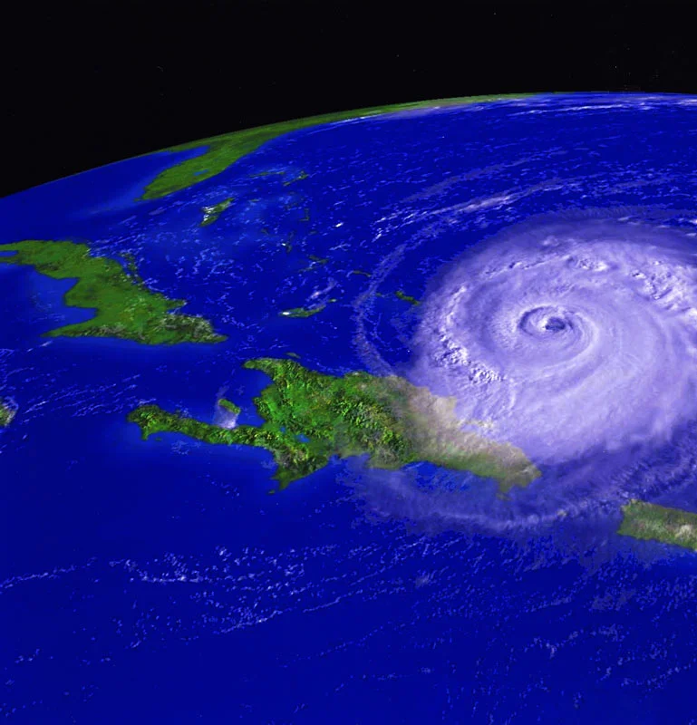 Обложка Укрощение строптивых