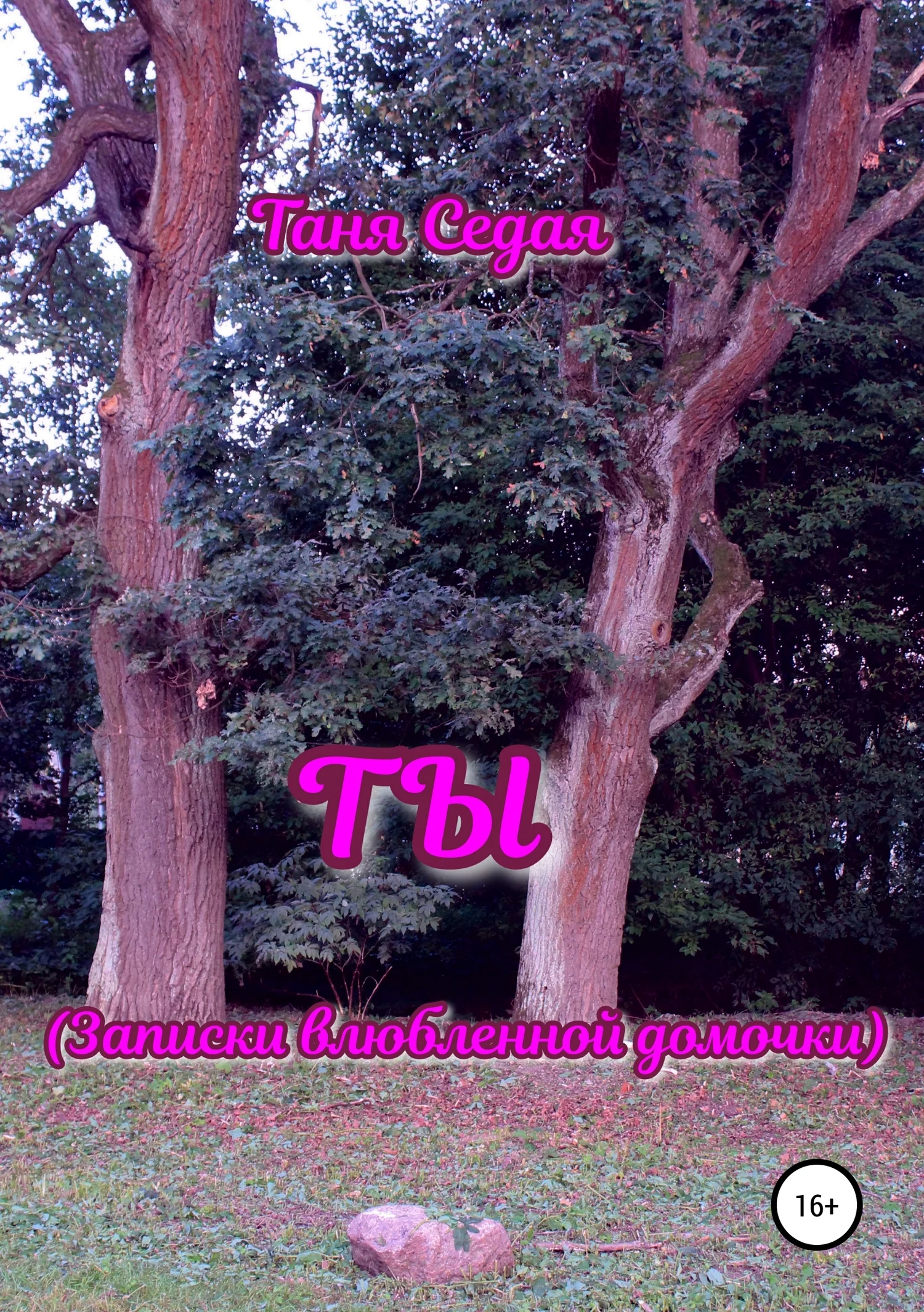 Обложка Ты. Записки влюбленной дамочки