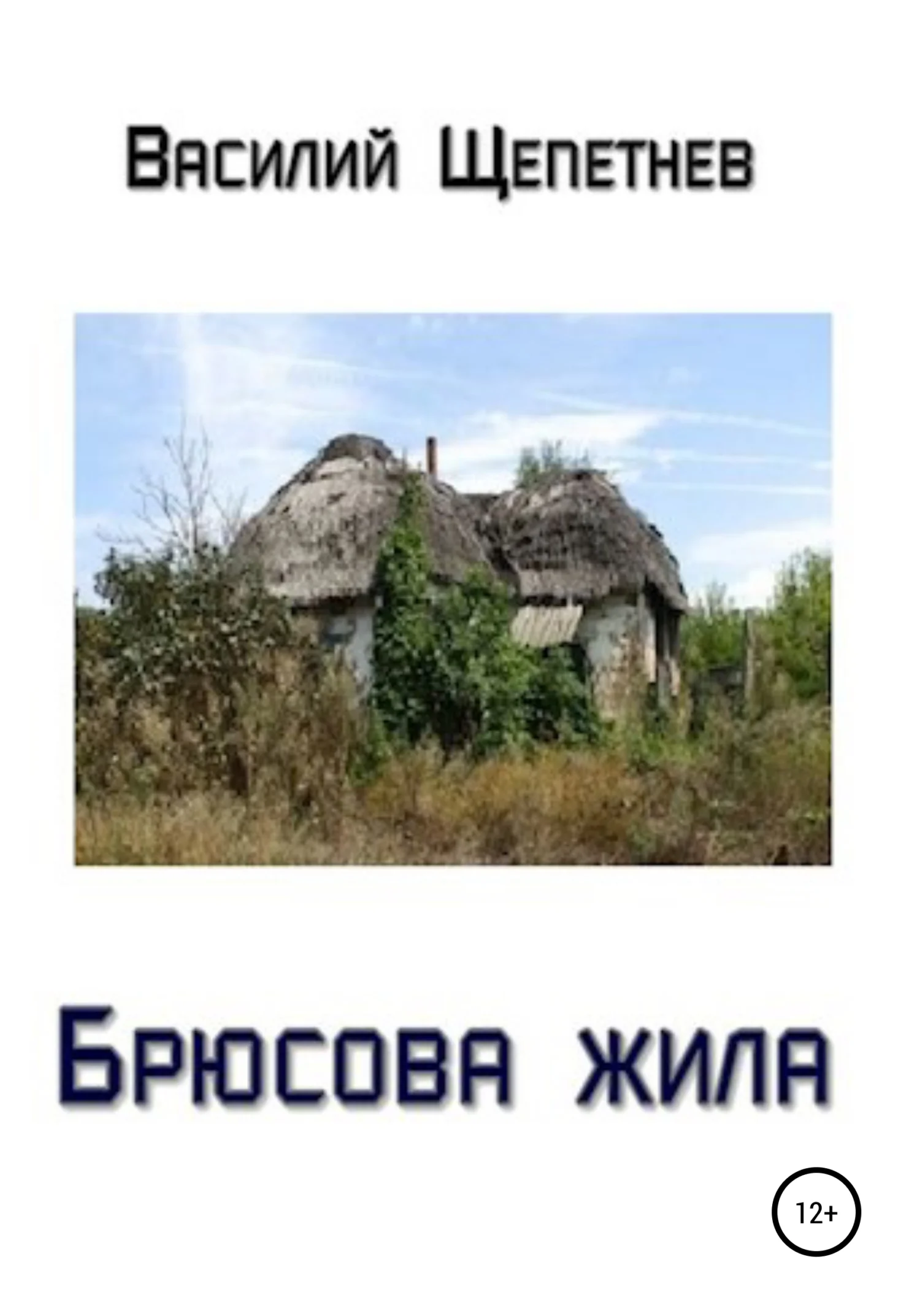 Обложка Брюсова жила