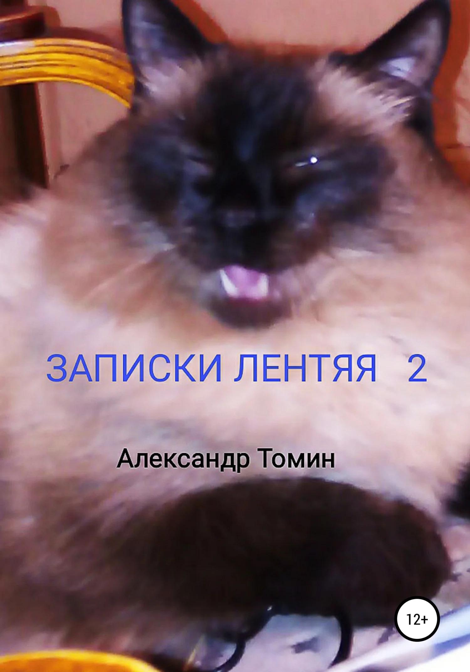 Обложка Записки лентяя 2