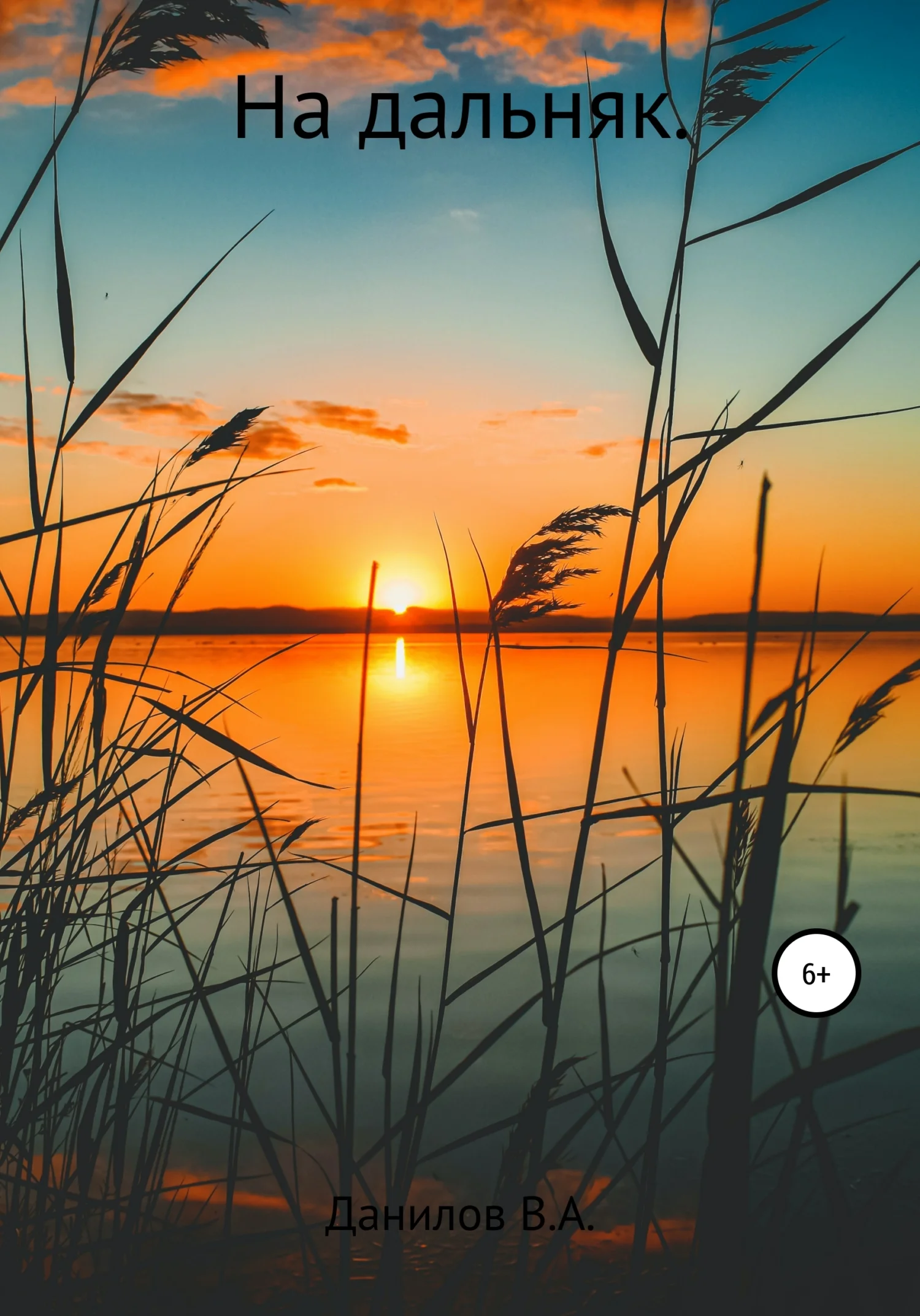 Обложка На дальняк