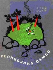 Обложка Республика самбо
