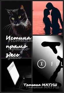 Обложка Истина прямо здесь