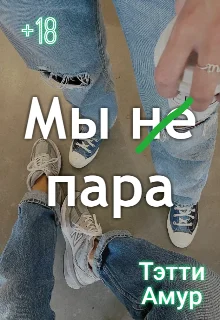 Обложка Мы не пара