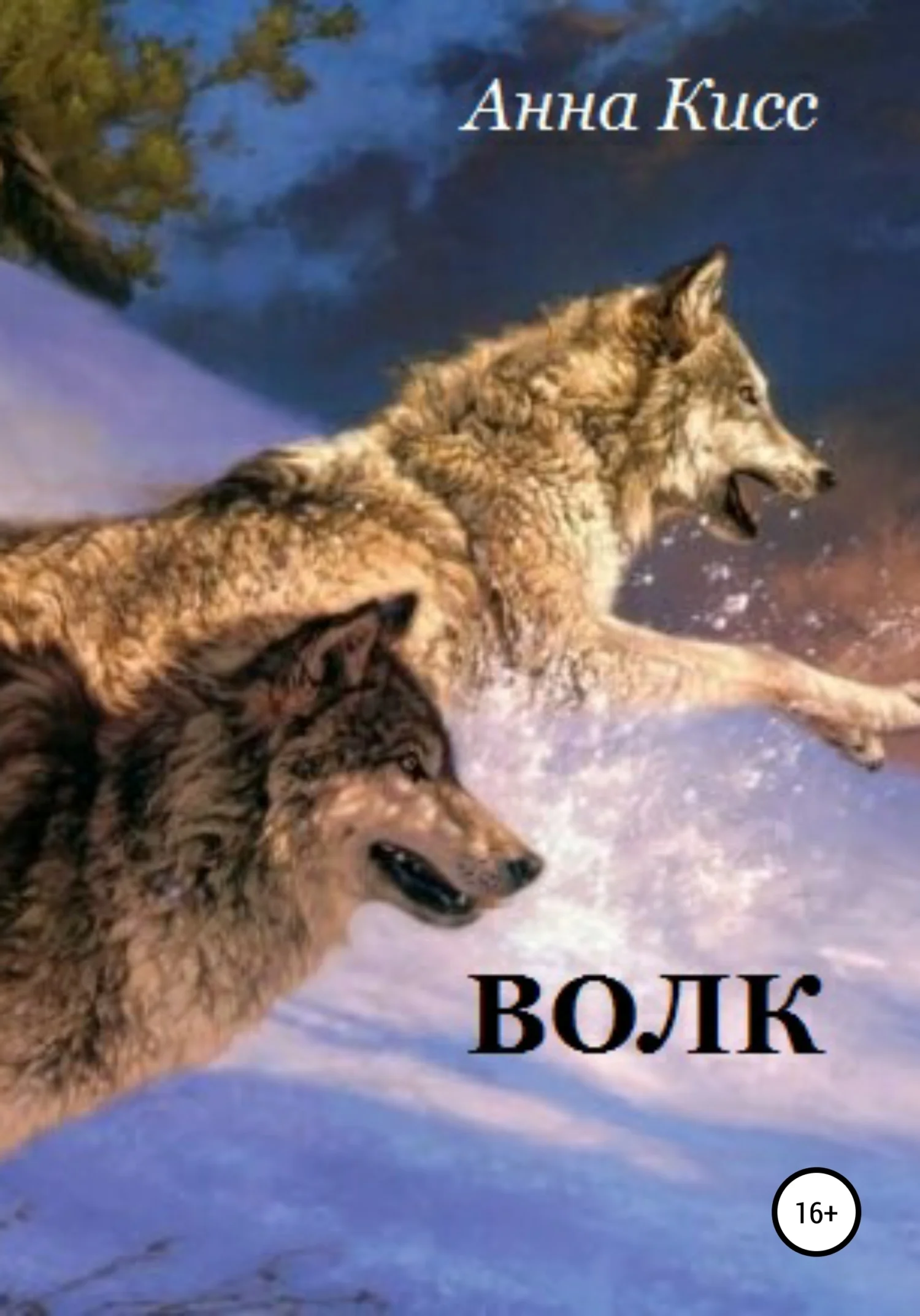 Обложка Волк