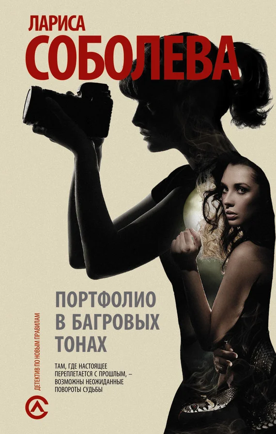 Обложка Портфолио в багровых тонах