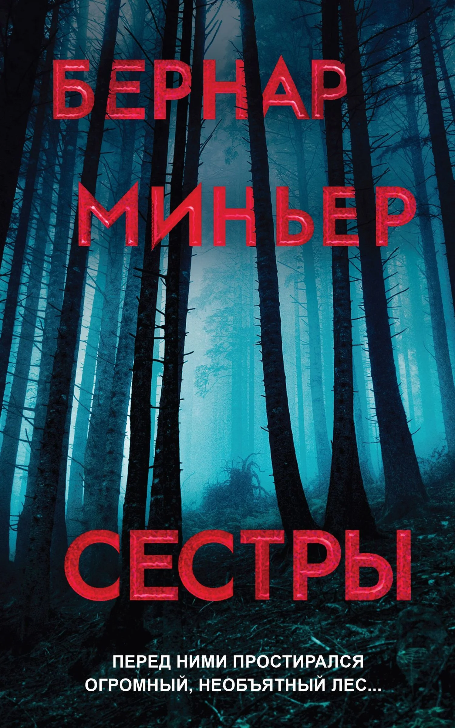 Обложка Сестры
