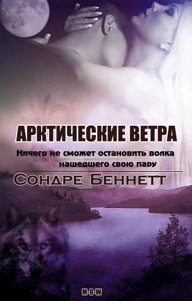 Обложка Арктические Ветра