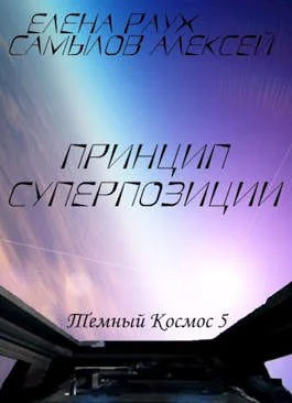 Обложка Принцип суперпозиции