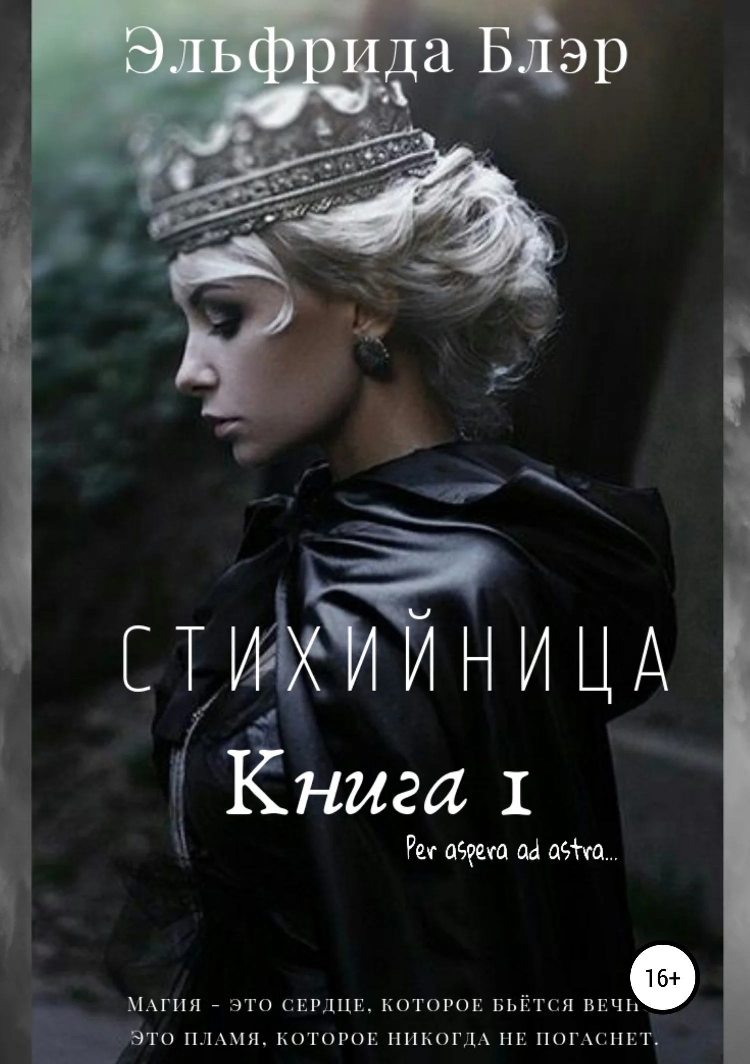 Обложка Стихийница. Книга I