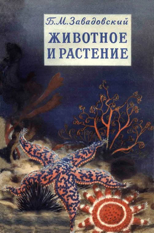 Обложка Животное и растение