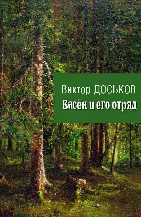 Обложка Васёк и его отряд