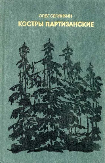 Обложка Костры партизанские. Книга 1