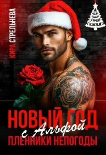 Обложка Новый год с Альфой. Пленники непогоды