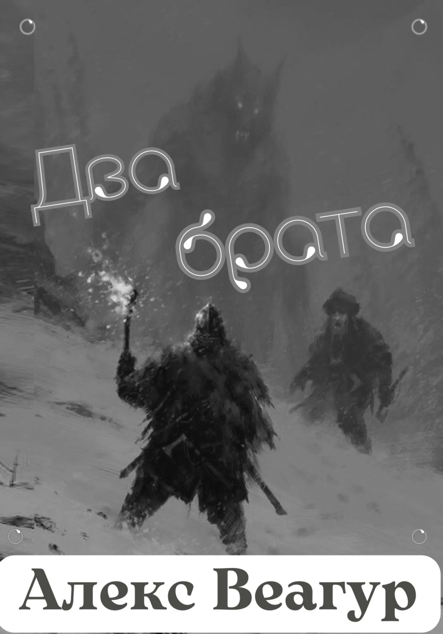 Обложка Два брата