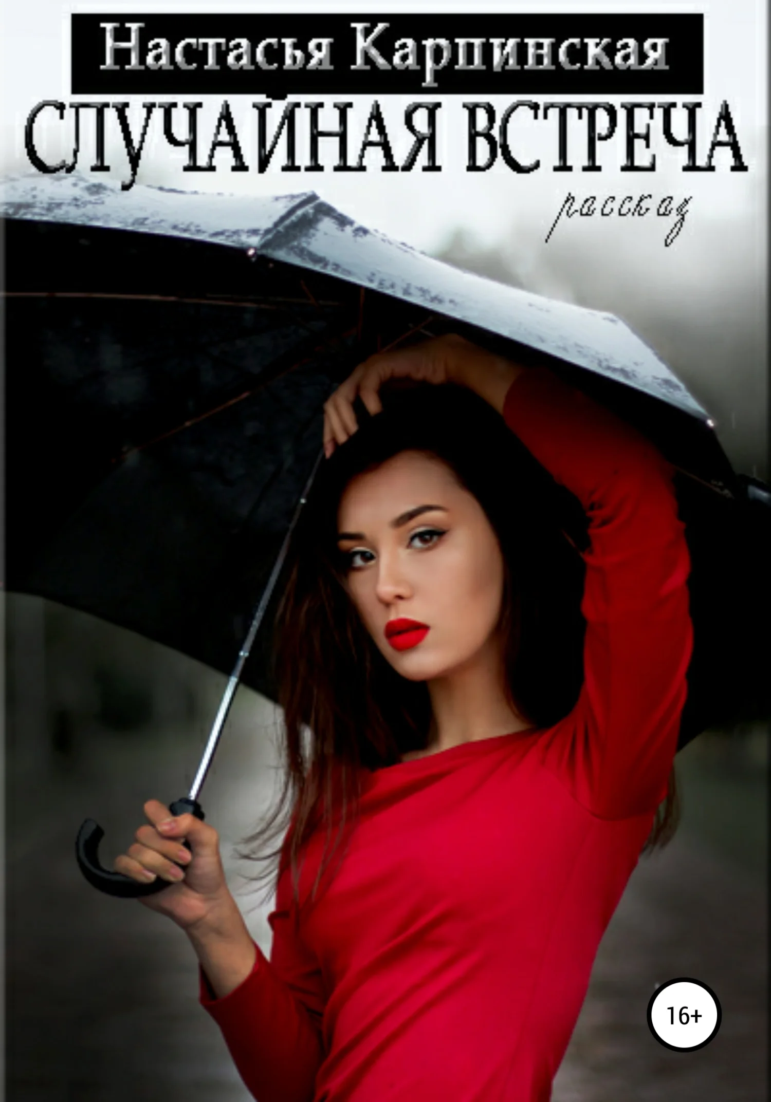 Обложка Случайная встреча