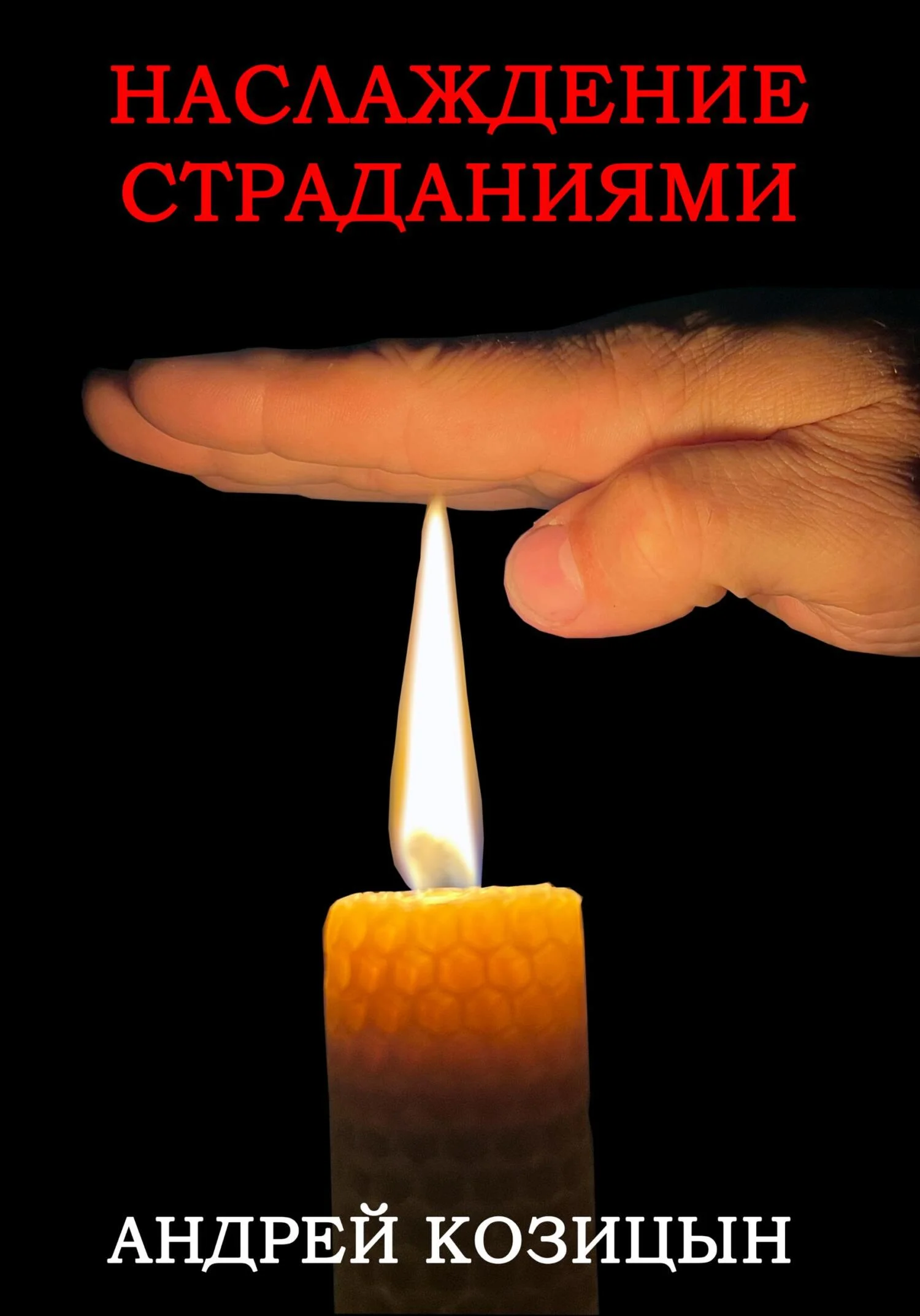 Обложка Наслаждение страданиями
