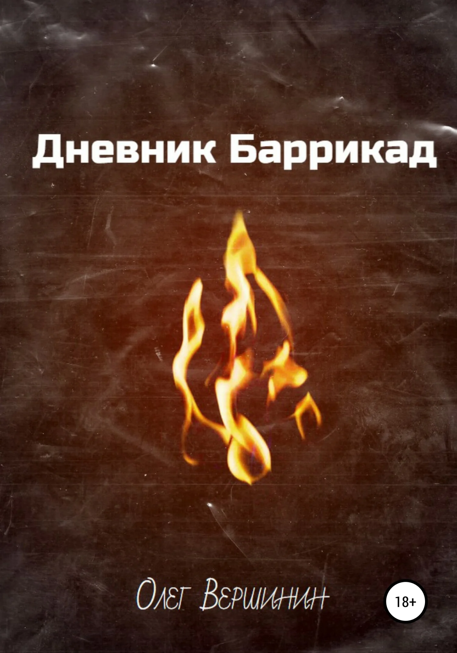 Обложка Дневник Баррикад