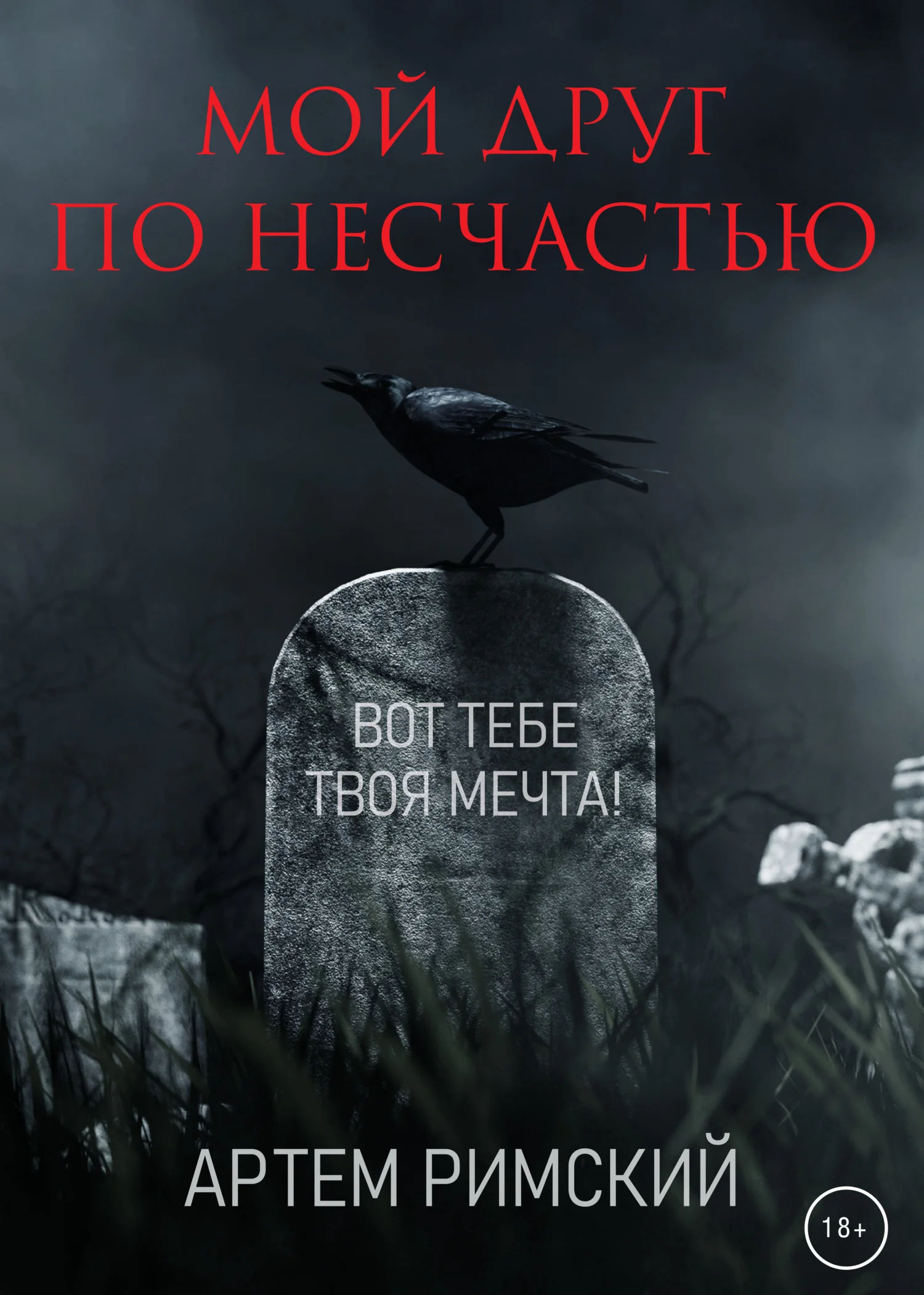 Обложка Мой друг по несчастью