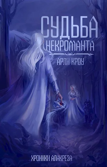 Обложка Судьба Некроманта