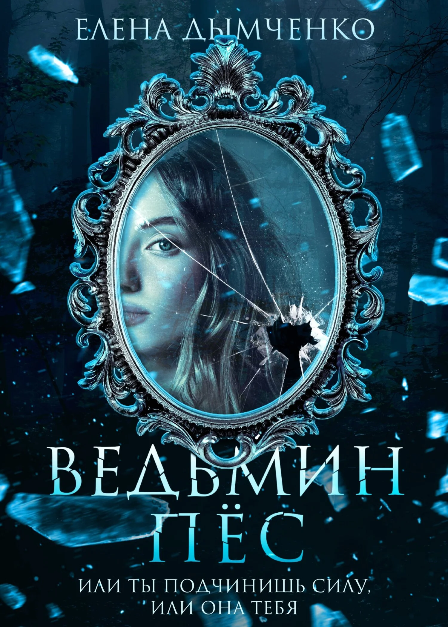 Обложка Ведьмин пес