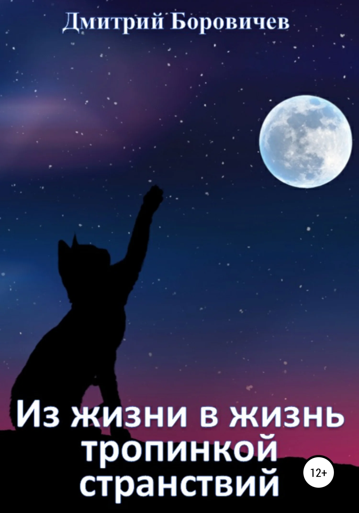 Обложка Из жизни в жизнь тропинкой странствий