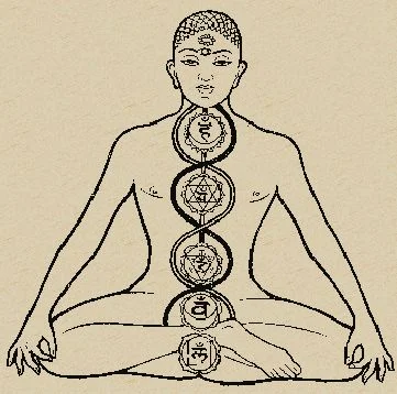 Обложка Змеиная Сила