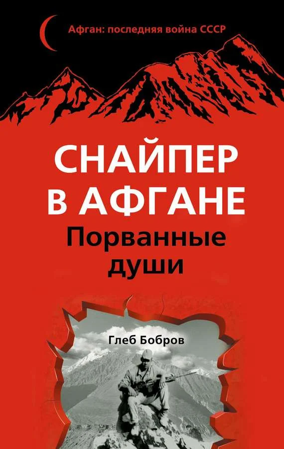 Обложка Снайпер в Афгане. Порванные души