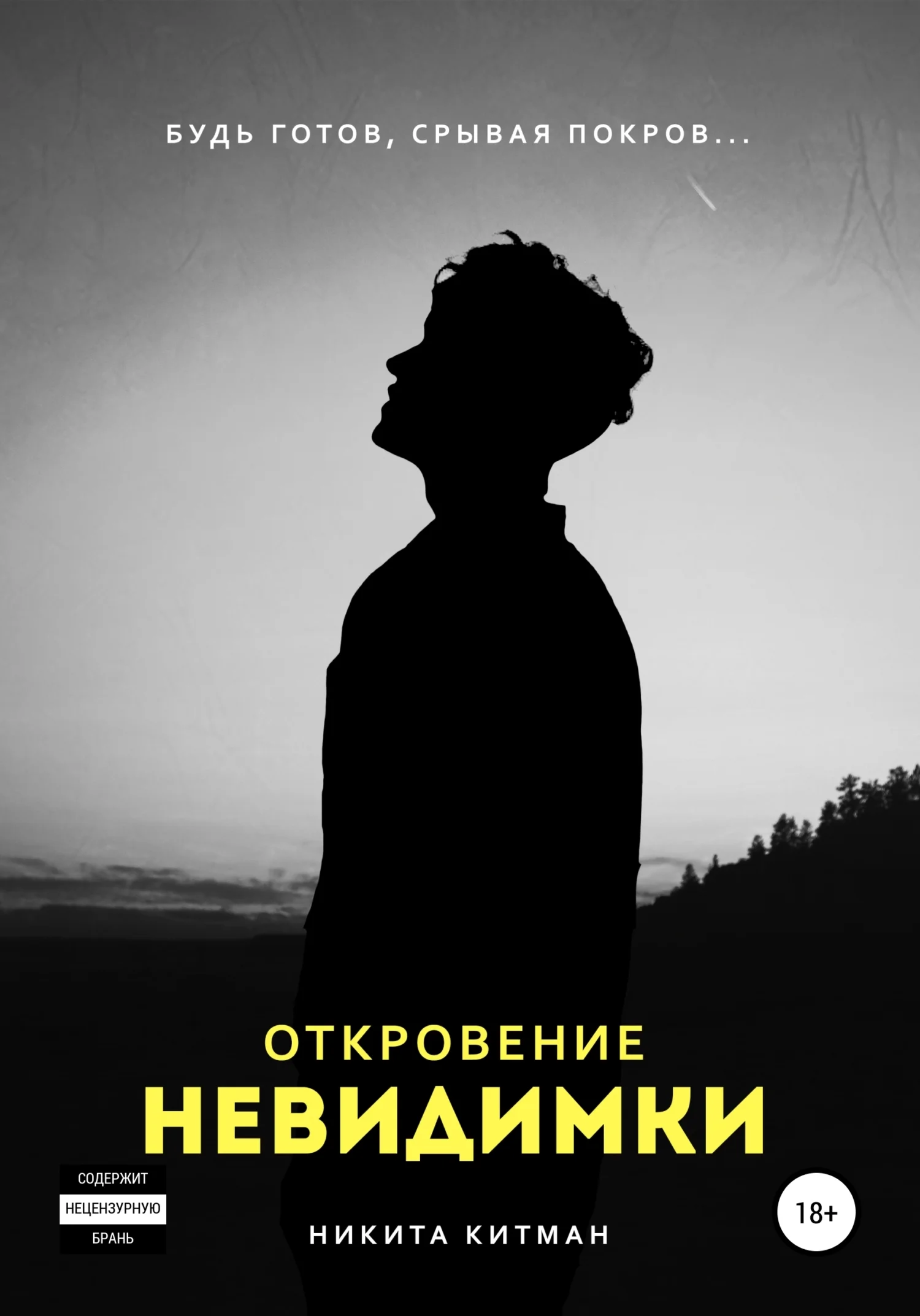 Обложка Откровение невидимки