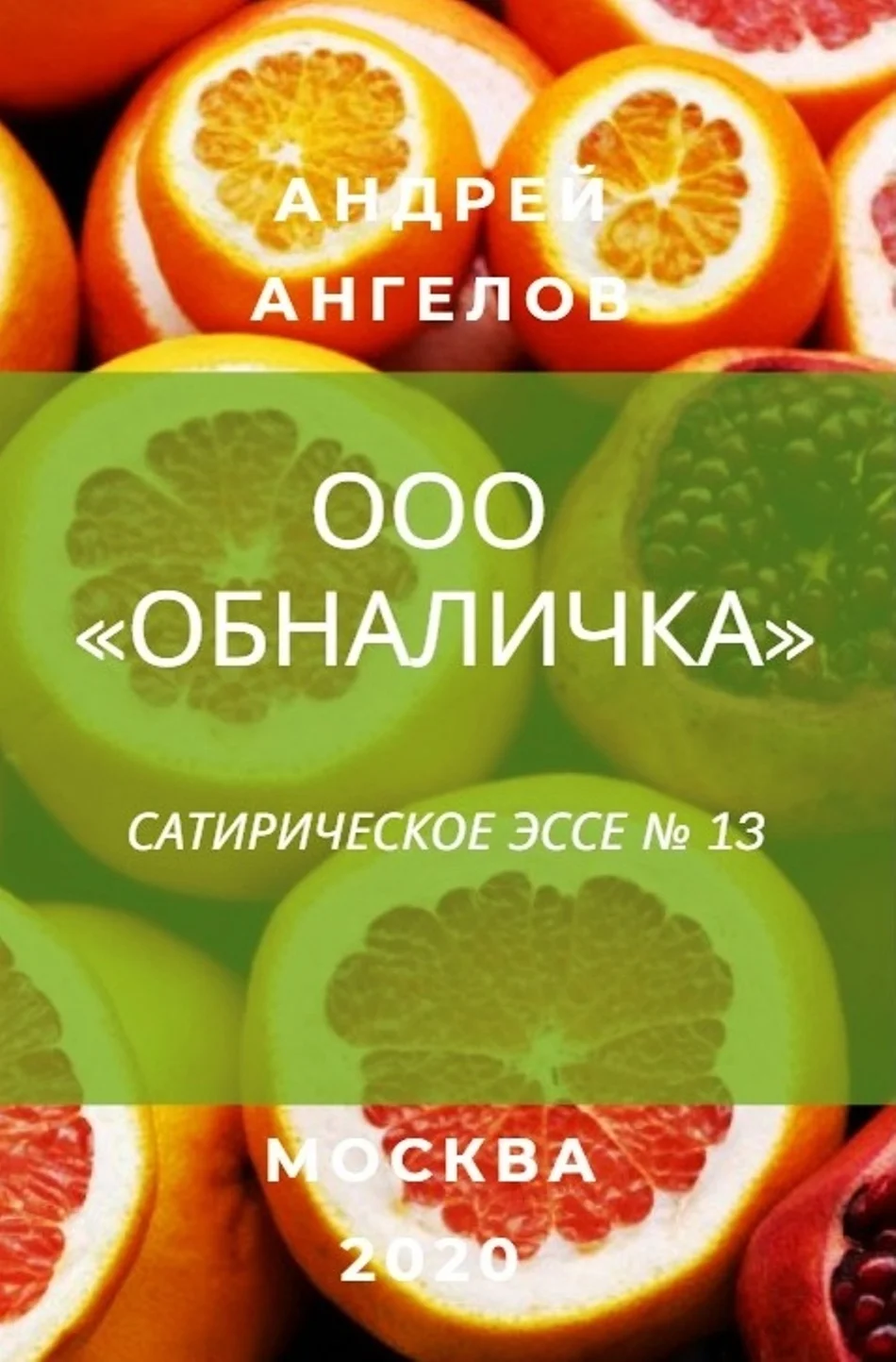 Обложка ООО «Обналичка»