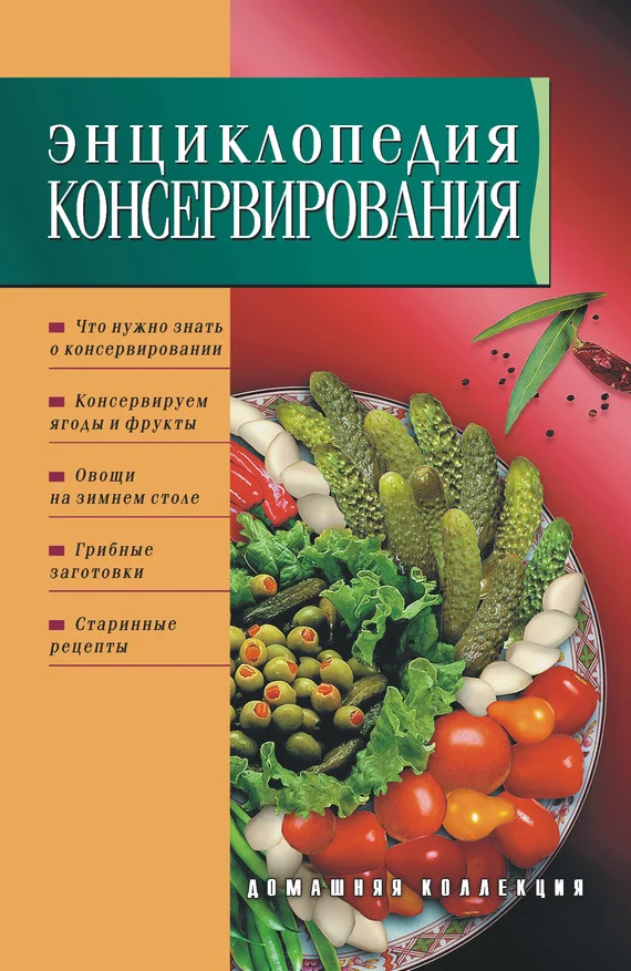 Обложка Энциклопедия консервирования