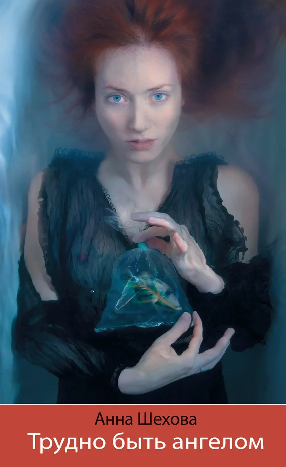 Обложка Трудно быть ангелом