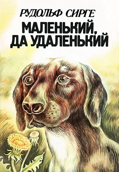 Обложка Маленький, да удаленький