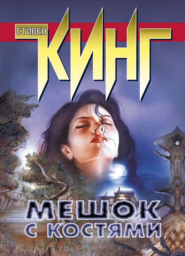 Обложка Мешок с костями