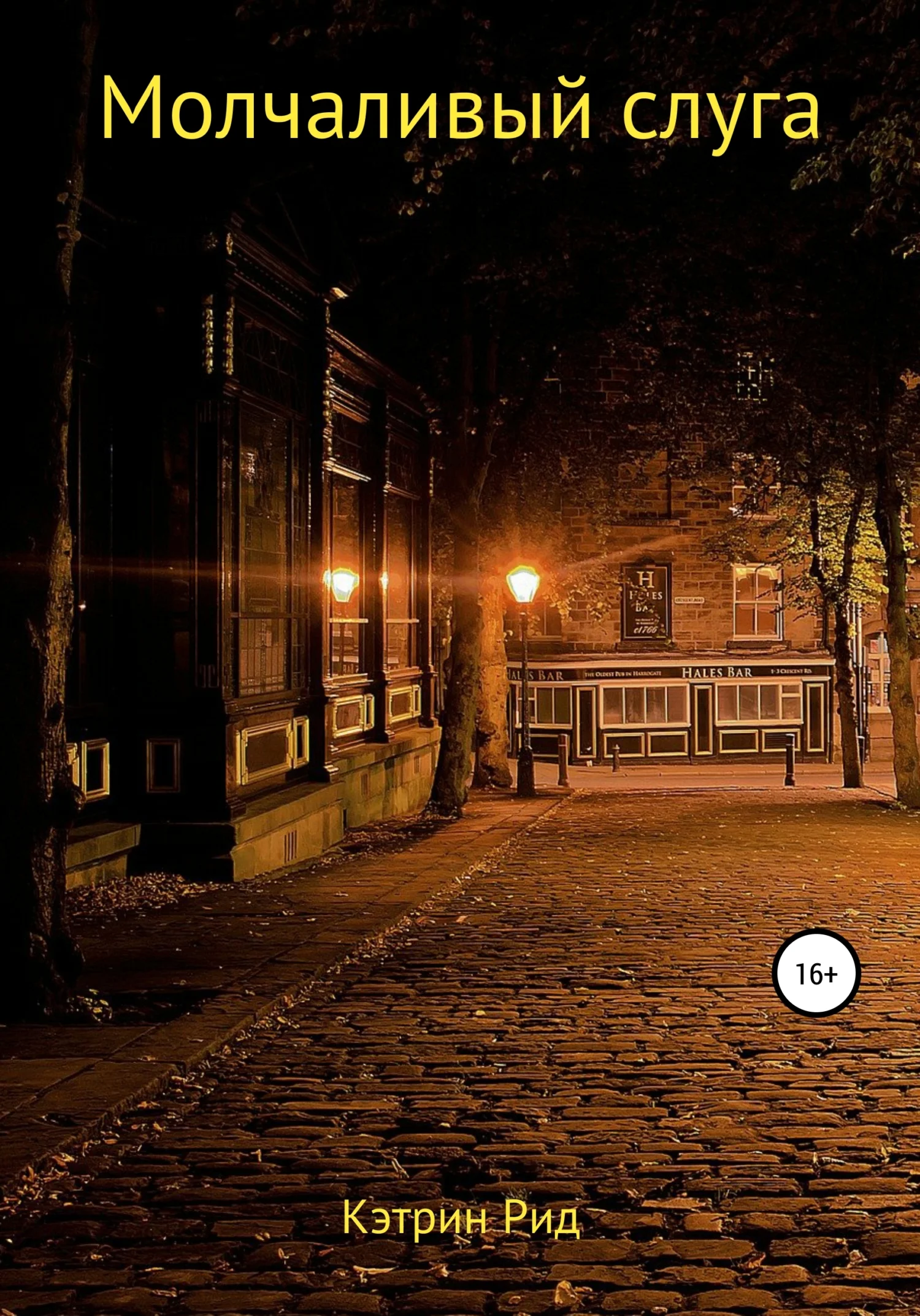 Обложка Молчаливый слуга