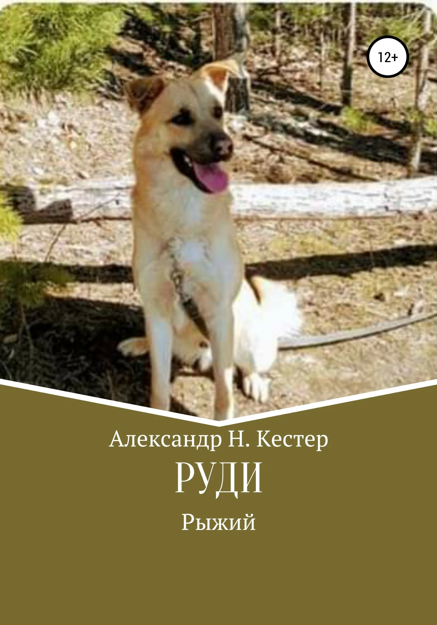 Обложка Руди