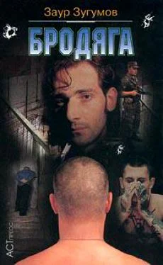 Обложка Бродяга