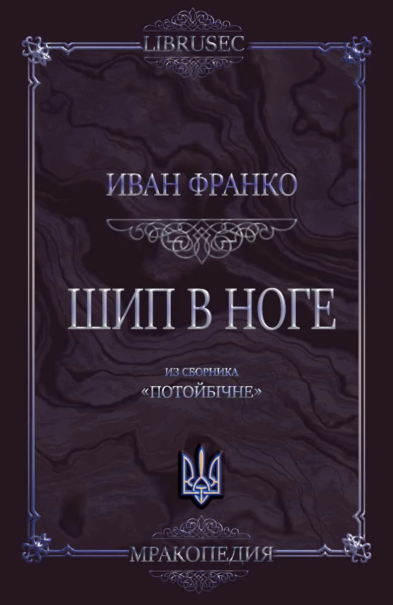 Обложка Шип в ноге