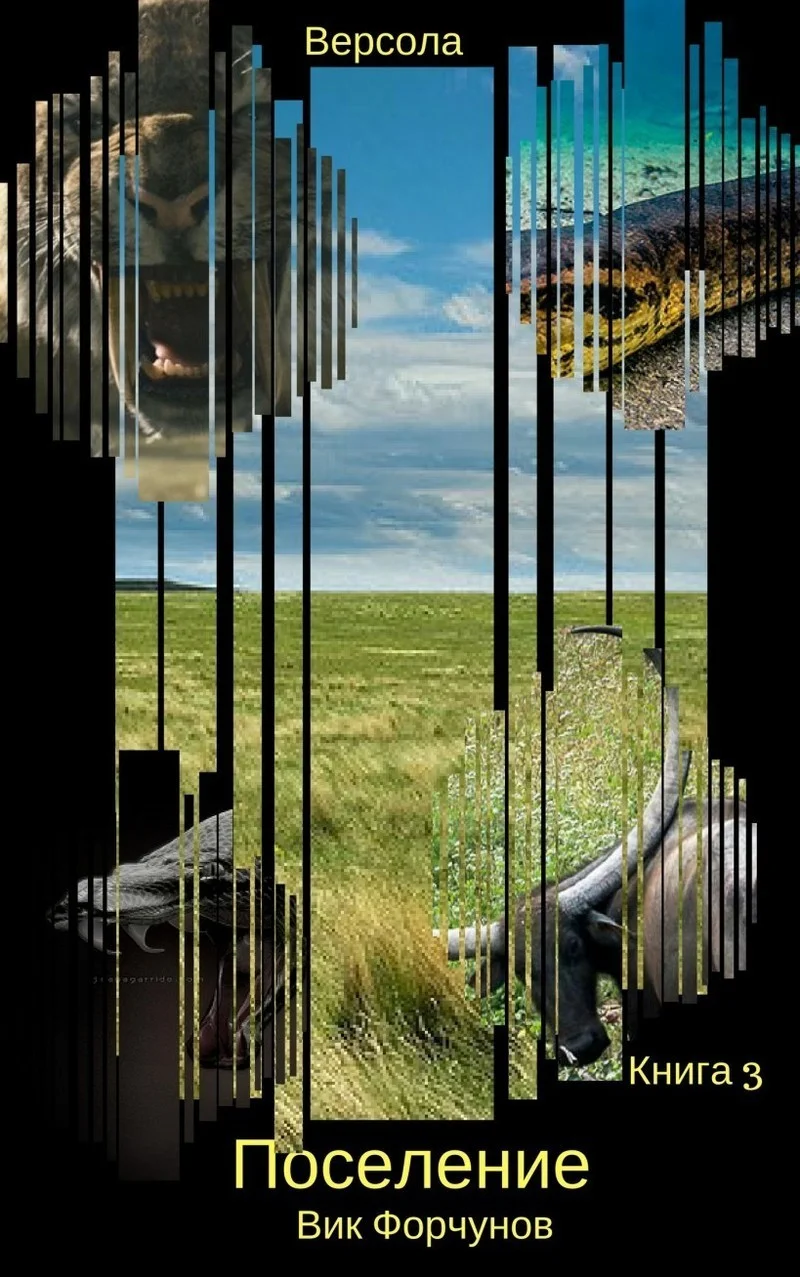 Обложка Поселение (СИ)