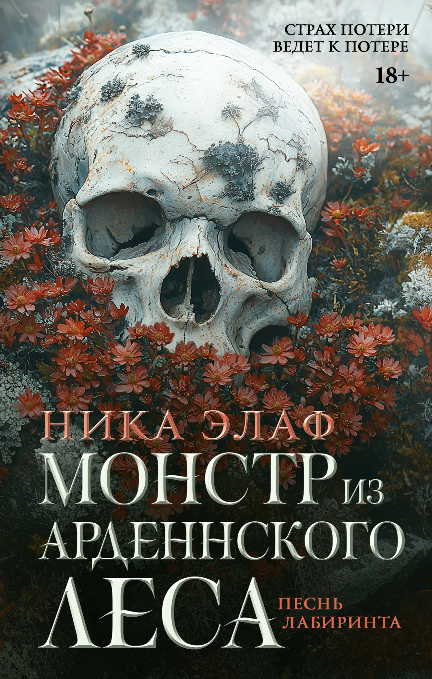 Обложка Песнь лабиринта