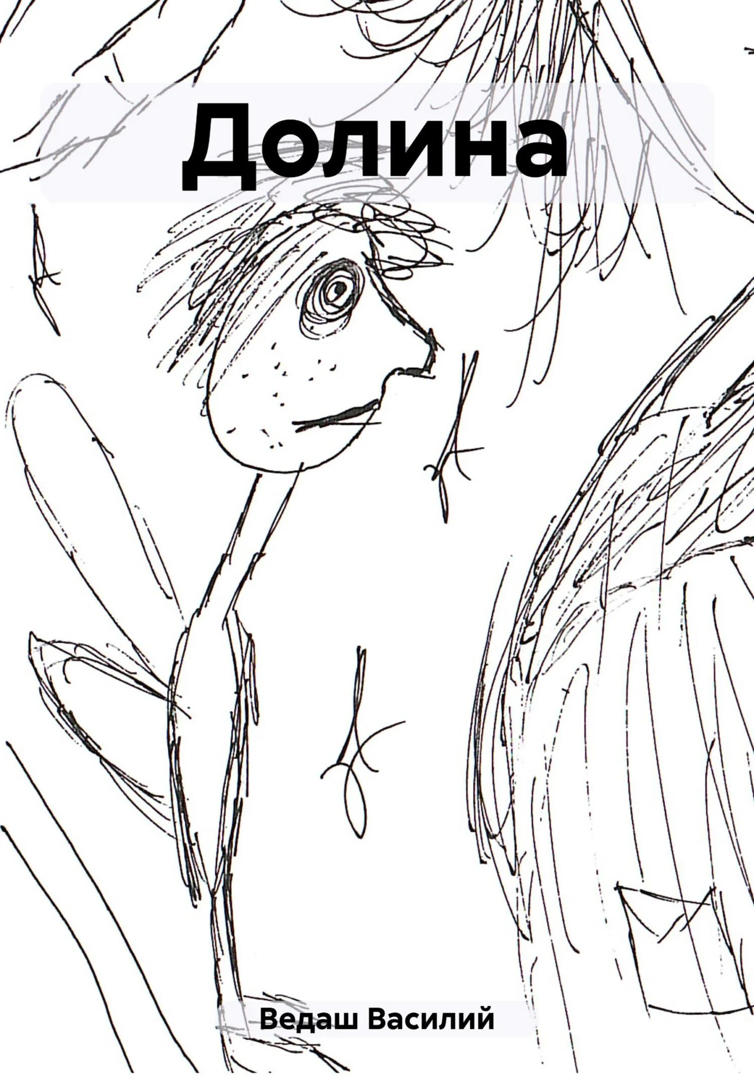 Обложка Долина