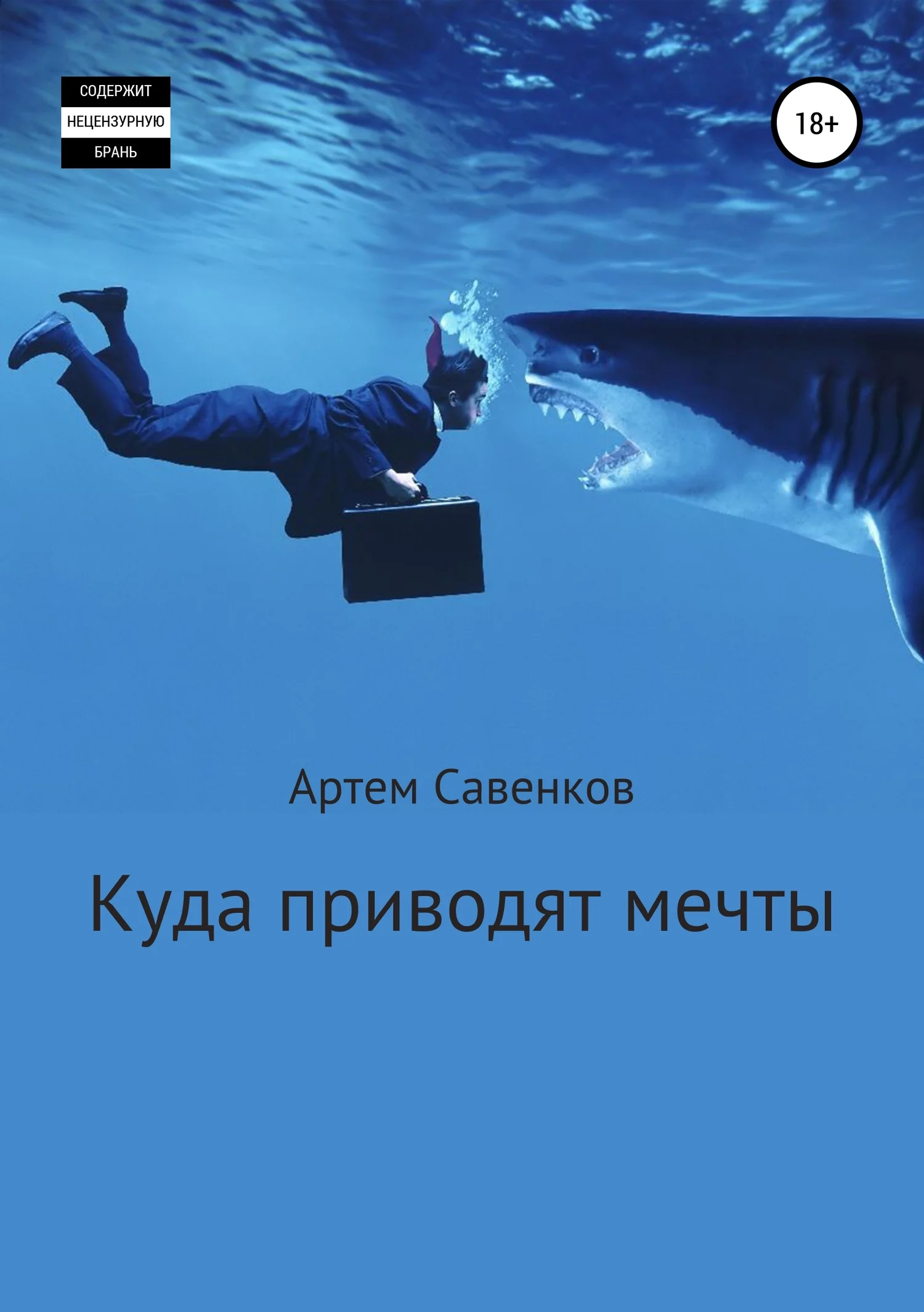 Обложка Куда приводят мечты